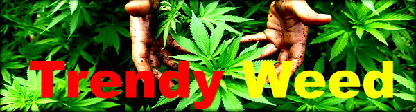 Trendy Weed